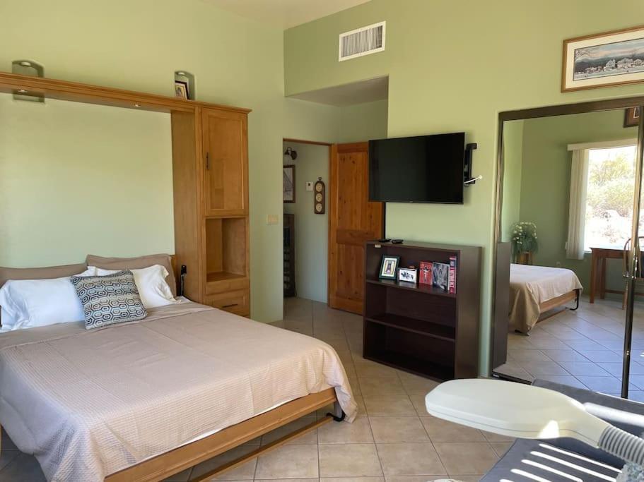 Tucson Mnt Foothills Saguaro Bliss Villa Dış mekan fotoğraf