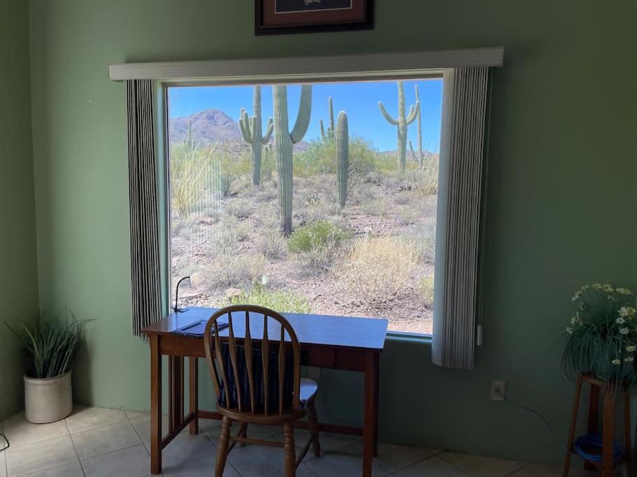 Tucson Mnt Foothills Saguaro Bliss Villa Dış mekan fotoğraf
