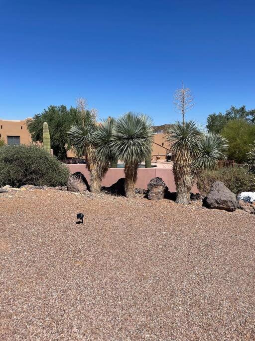 Tucson Mnt Foothills Saguaro Bliss Villa Dış mekan fotoğraf